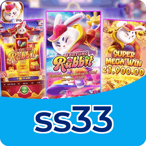 ss33
