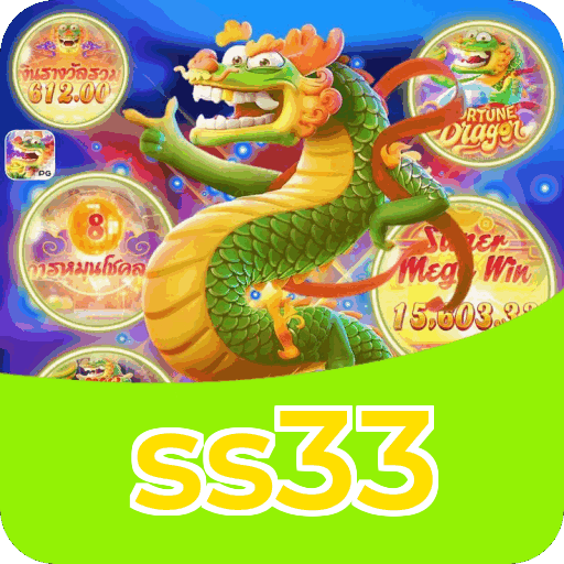 ss33