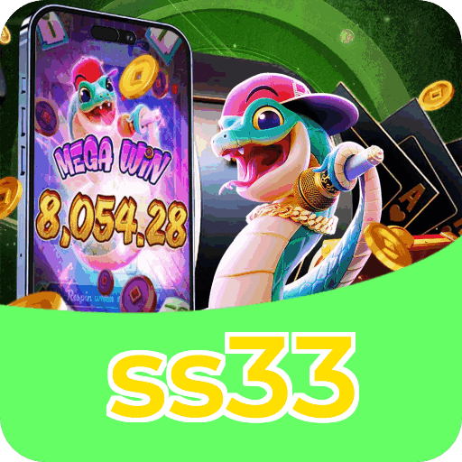 ss33